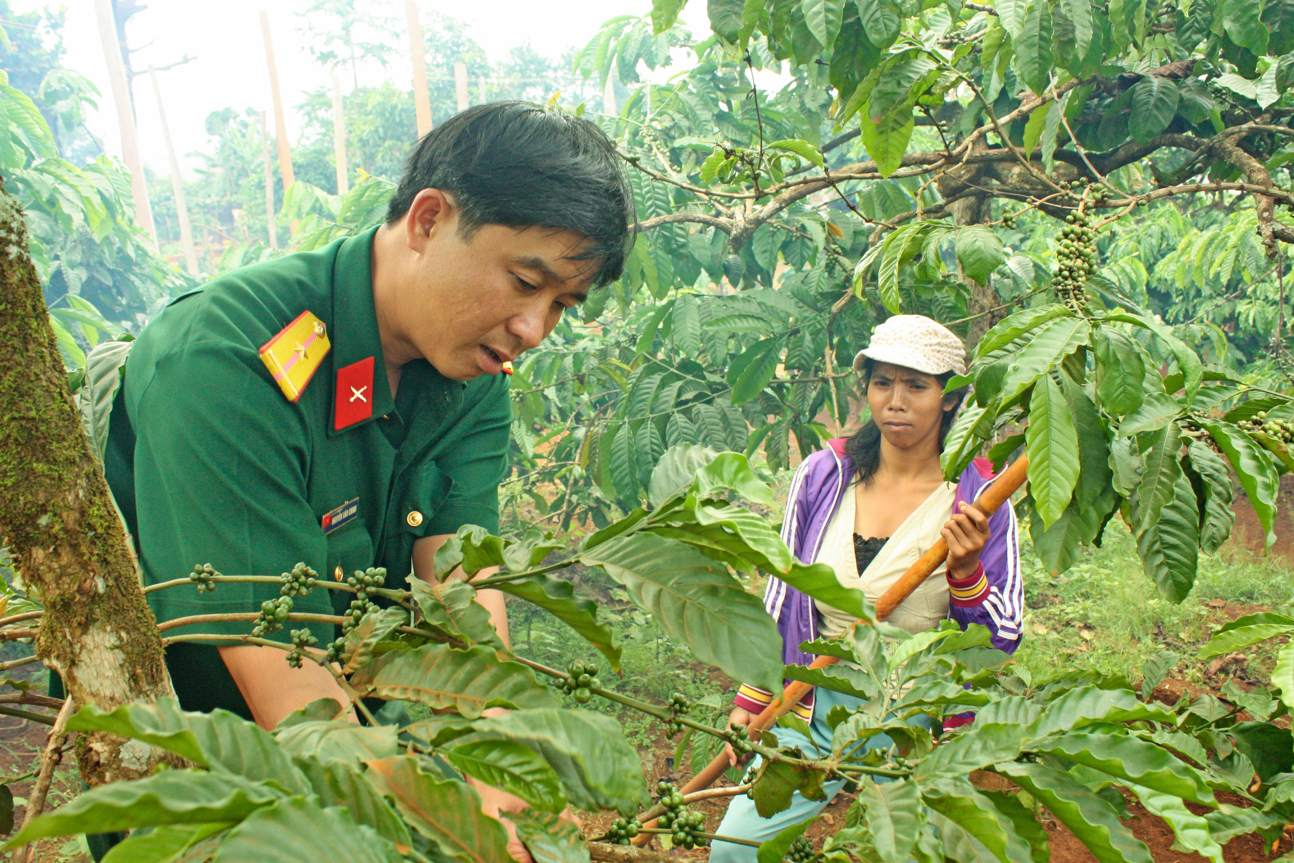 Xây dựng chính sách đặc thù, giảm nghèo bền vững 